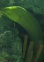 2008-09-27_Mystic_Aquarium 200_1